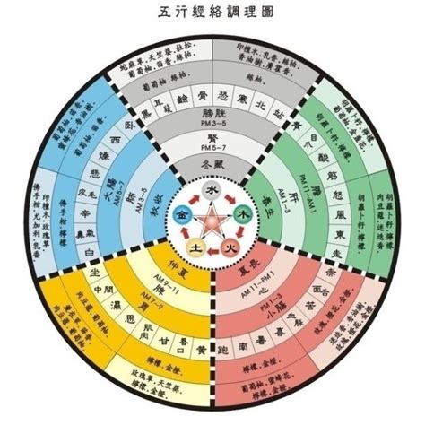 五術命理|『五術』《山、醫、命、卜、相》 – 八字命理（玄孟樵。